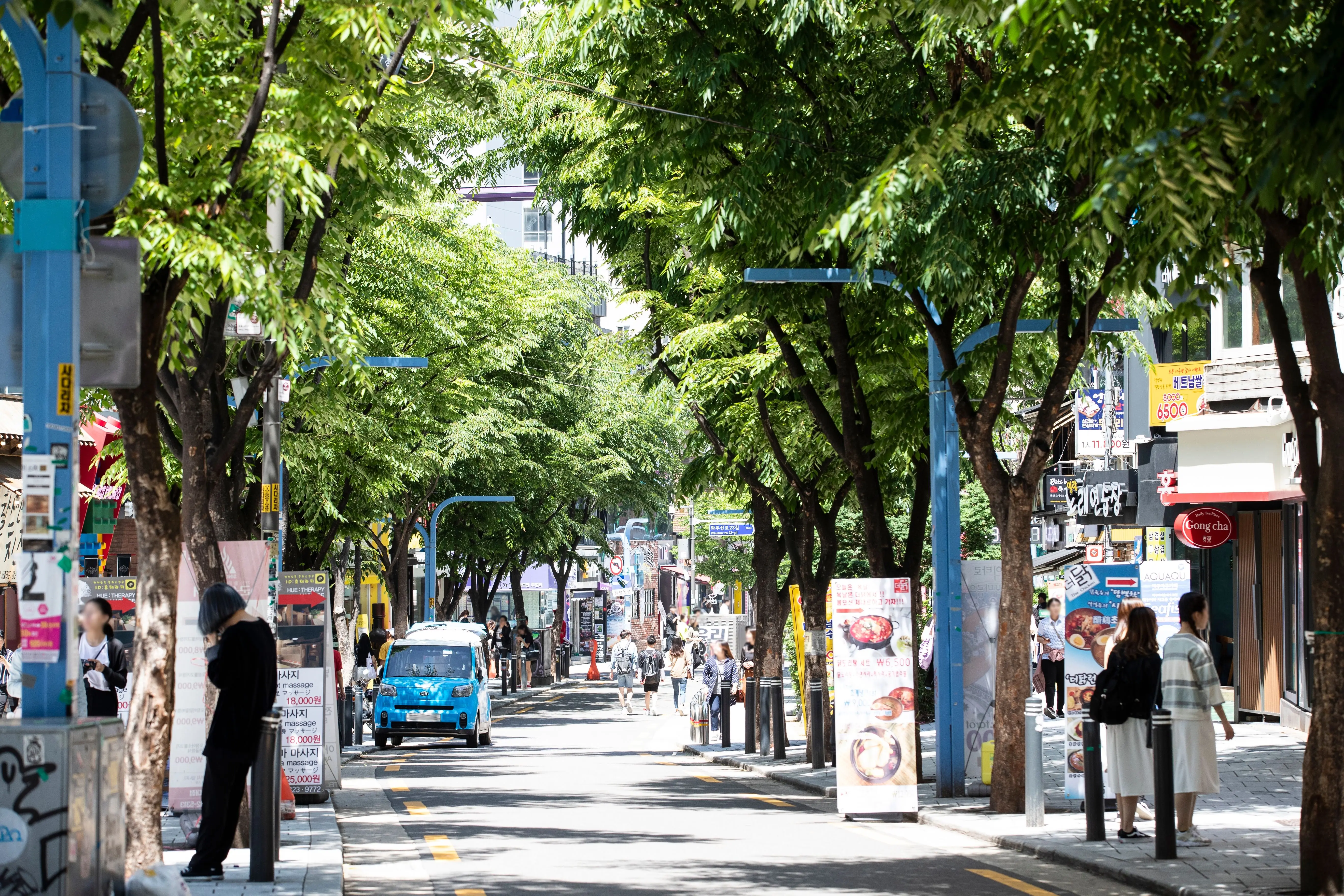 Tree-lined street in the Hongdae area of Seoul