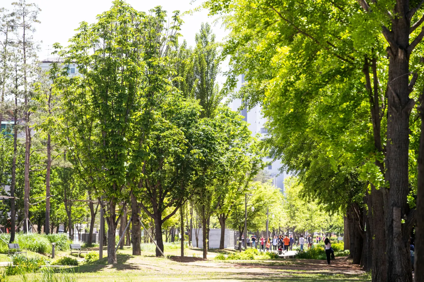 Gyeongui Line Forest Park en Yeonnam-dong, Seoul