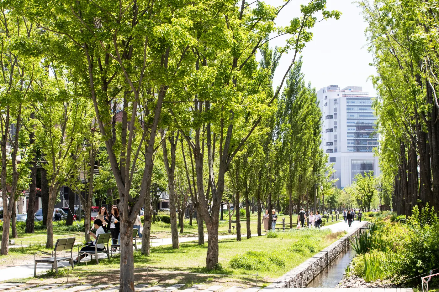 Sendero arbolado en Gyeongui Line Forest Park, Yeonnam-dong