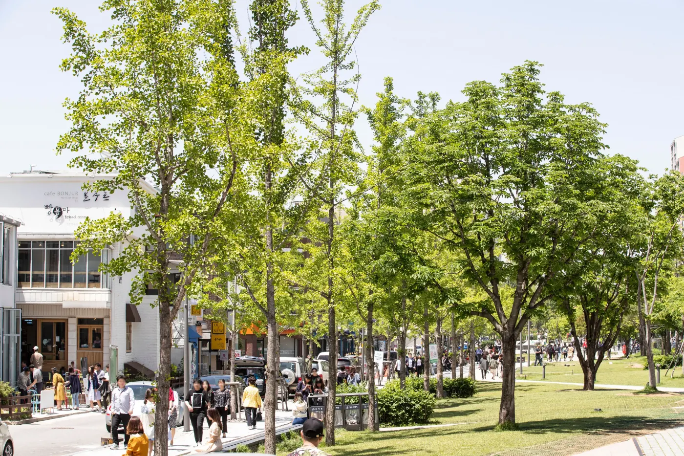 Tiendas y zona de paseo junto a Gyeongui Line Forest Park en Yeonnam-dong